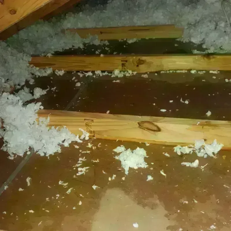 Attic Water Damage in Ogdensburg, NY